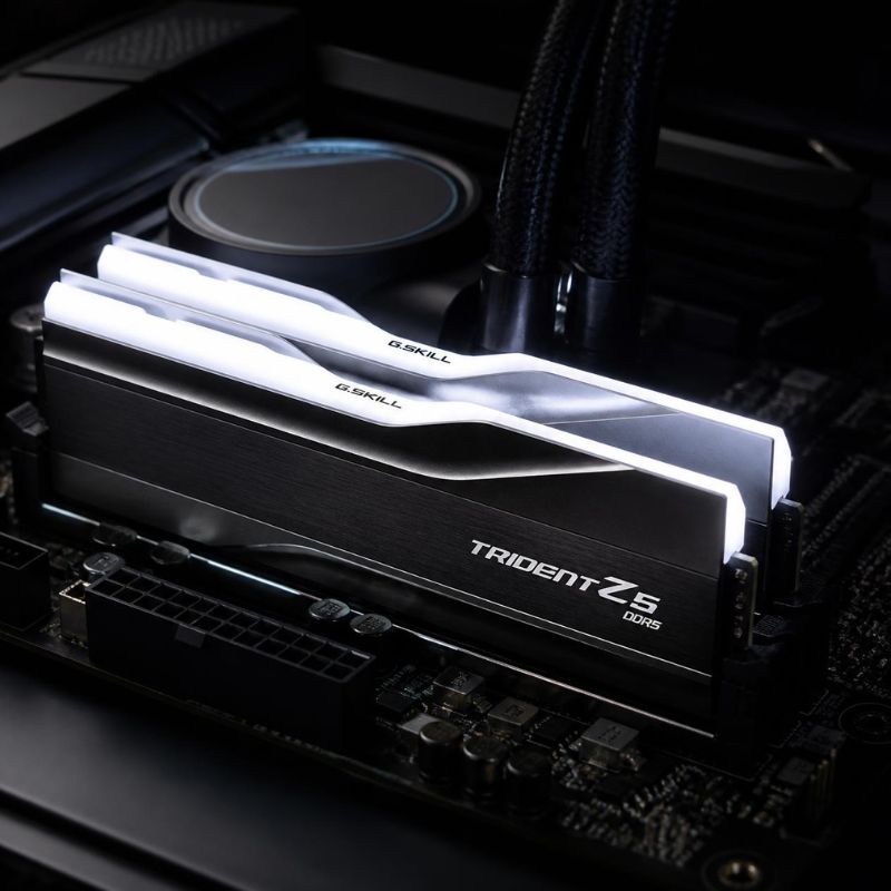 Two sticks of premium DDR5 RAM